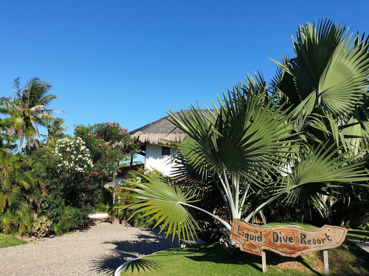 Liquid Dive Resort Dauin Exterior photo