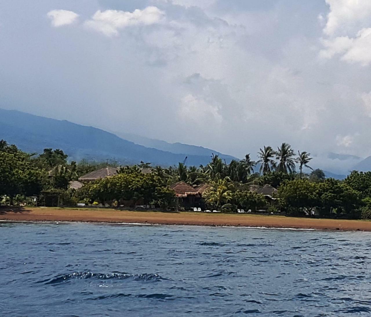 Liquid Dive Resort Dauin Exterior photo